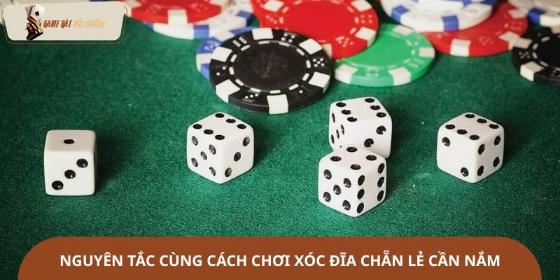 Nguyên tắc cùng cách chơi xóc đĩa chẵn lẻ mà newbie cần nắm